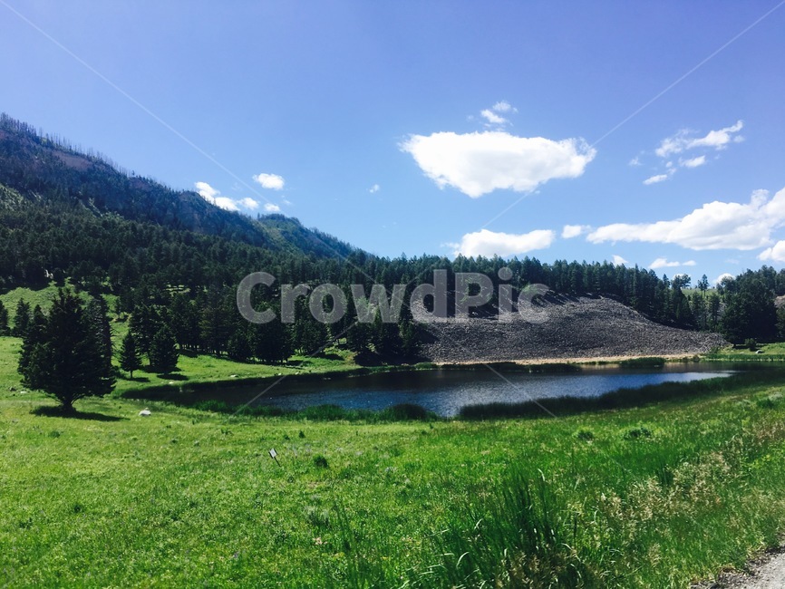 nature,자연,grassland,목초지,outdoors,옥외,field,tree,들,나무,plant,식물,countryside,farm,연못,평화,자연,풍경,nature,landscape,rural,농촌,농장,fir,전나무
