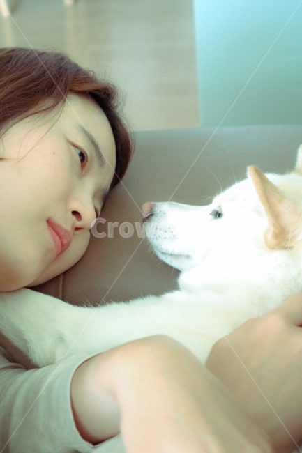 강아지,애견,애완견,시바견,백시바,교감,휴식,모델,인물사진,동물,animal,포유류,mammal,사람,인물,인간,human,person,얼굴표정,facial expression,face,여성,여자,woman,female,lady,감정표현,기분,feeling,emotion
