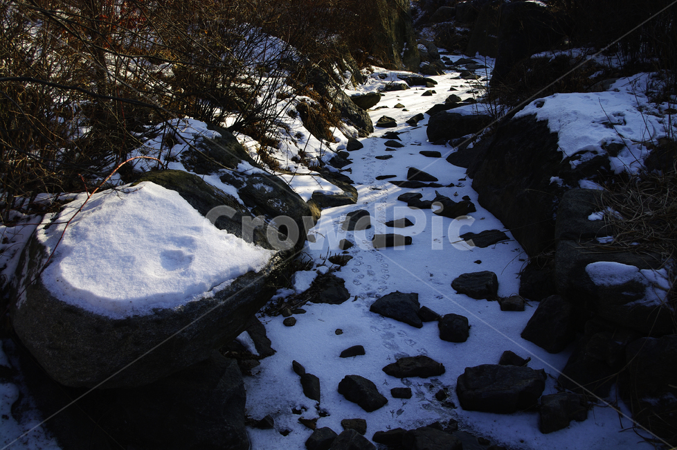 겨울,winter,풍경,설경,눈,식물,plant,자연,nature,나무,바위,겨울,계절,winter,season,자연,풍경,nature,landscape