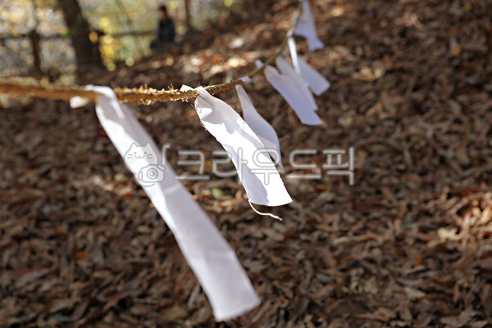 금줄