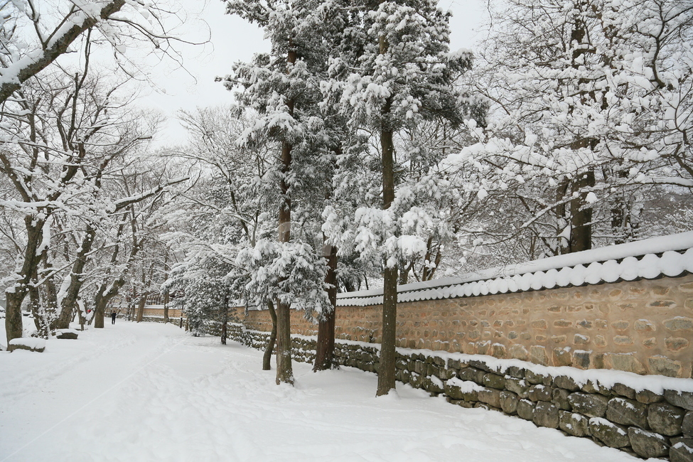 고창,선운사,선운사설경,설경,겨울,겨울,계절,winter,season,자연,풍경,nature,landscape,한국자연풍경,한국자연경관,korea nature landscape,한국전통,한국문화,korean traditional,korean culture,outdoors,옥외