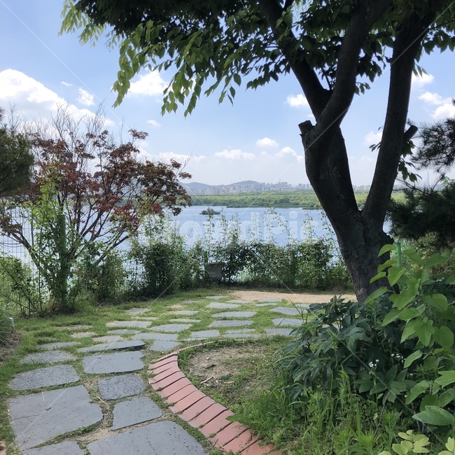 북한강,강,정원,나무,길