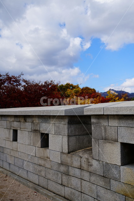 혜화문,서울,종로구,혜화동,한국,한국적인,korea,seoul,성문,성벽,성곽,한양도성,한옥,하늘,구름,나무,식물,풍경,landscape,전통,문화,한국전통,한국문화,문화재,전통문화,가을,단풍,10월,fall,autumn,October,tree,한국전통,한국문화,korean traditional,korean culture,건축물,건물외관,exterior,building,structure,architecture,construction