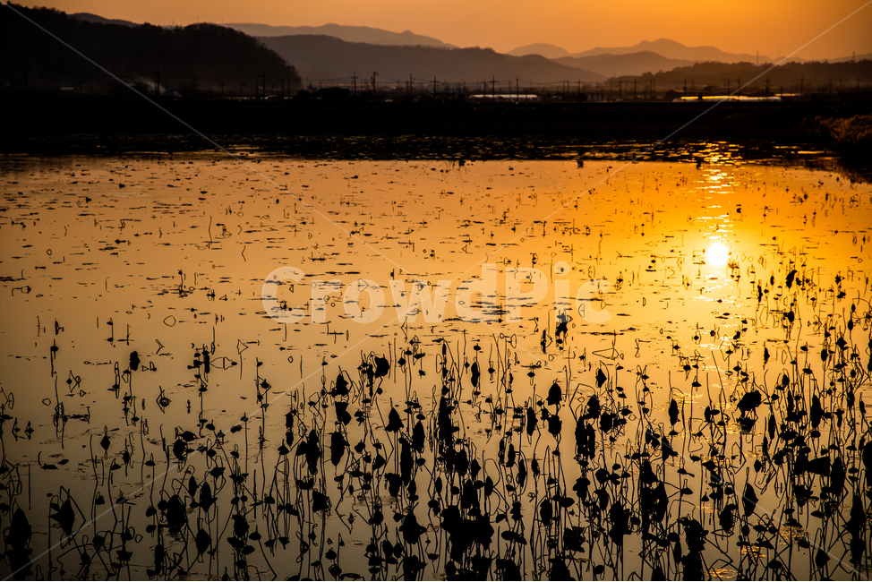 청도,혼신지,청도혼신지,일몰,풍경,청도풍경,일상,스냅,연못,자연,풍경,nature,landscape,실루엣,그림자,silhouette,shadow,grass,잔디,plant,식물,sunlight,햇빛