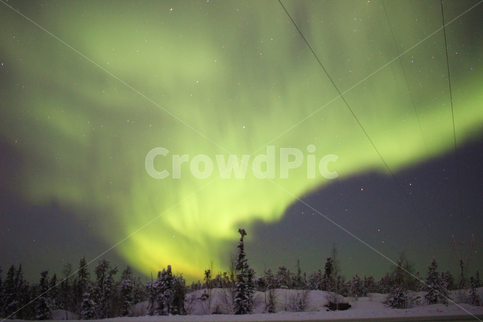night view,Aurora,wire,canada winter,softwood,stars and aurora,yellowknife,winter night sky,Aurora hunting