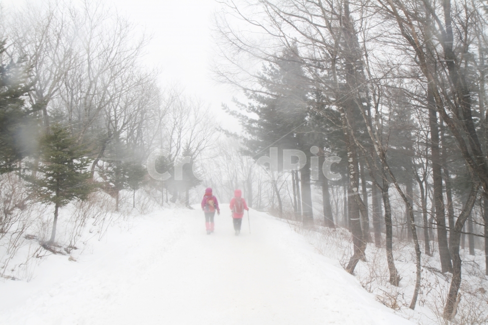 겨울풍경,등산,산길,눈길,자연,감성,겨울,계절,winter,season,자연,풍경,nature,landscape,한국자연풍경,한국자연경관,korea nature landscape,사람,인물,인간,human,person,outdoors,옥외,weather,날씨,storm,폭풍,snow,눈,blizzard,눈보라