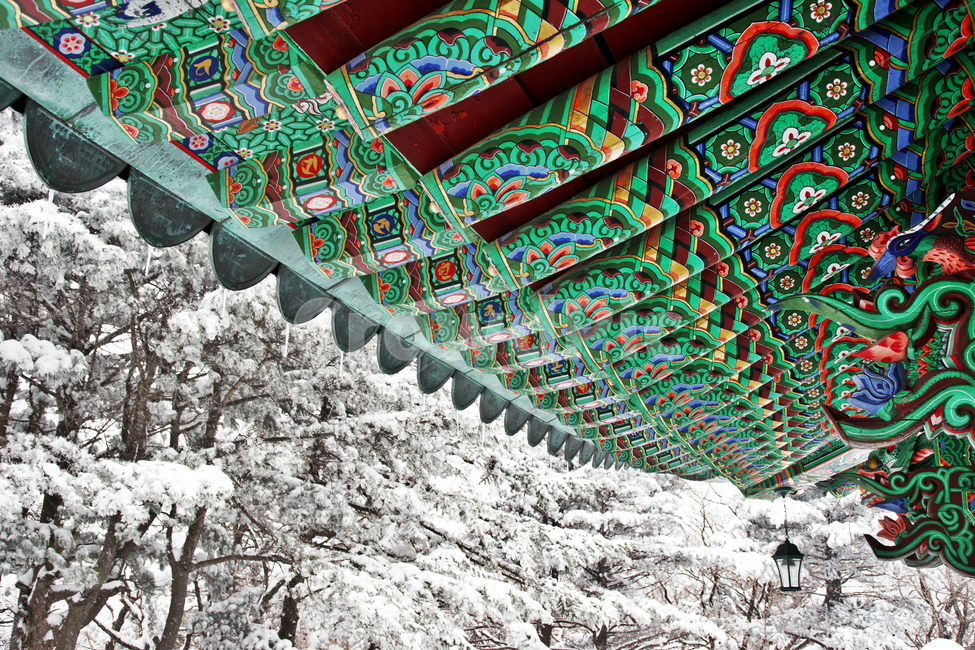 단청,처마,사찰,눈,겨울,문화재,한국의미,겨울,계절,winter,season,한국전통,한국문화,korean traditional,korean culture,건축물,건물외관,exterior,building,structure,architecture,construction