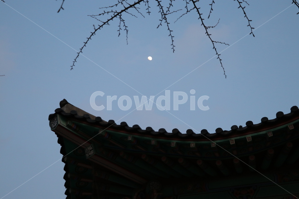 처마,달,나뭇가지,하늘,밤하늘,처마밑,야경,밤,풍경,nightscape,night,landscape,한국전통,한국문화,korean traditional,korean culture,건축물,건물외관,exterior,building,structure,architecture,construction