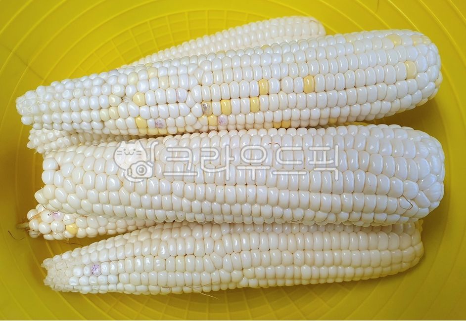 yellow corn,corner,raw corn,white corn,snack,corn,grain