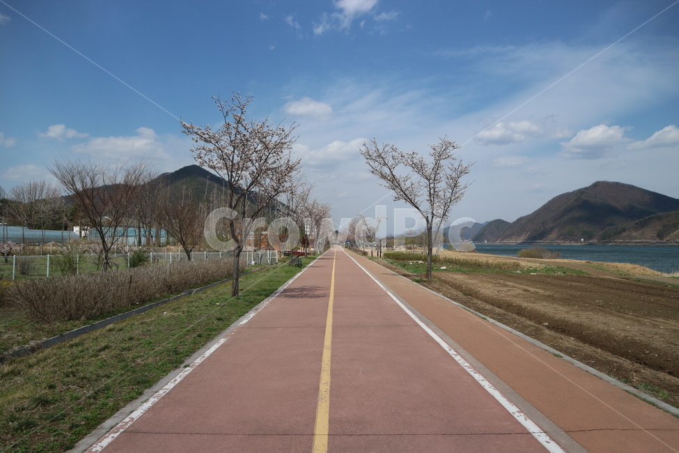 도로,벗꽃,운동,하늘,한적한,백그라운드,배경,달리기,조깅,야외,봄,계절,spring,season,자연,풍경,nature,landscape,한국자연풍경,한국자연경관,korea nature landscape,시골,마을,country,rural,town,road,asphalt,아스팔트,freeway,고속 도로,highway,고속도로