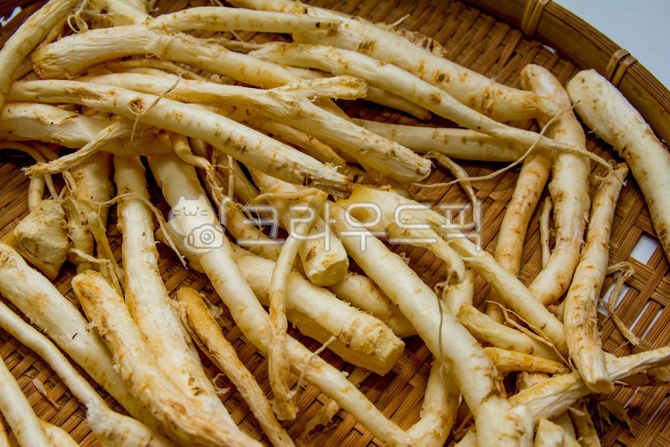 식재료,음식재료,도라지,음식,food