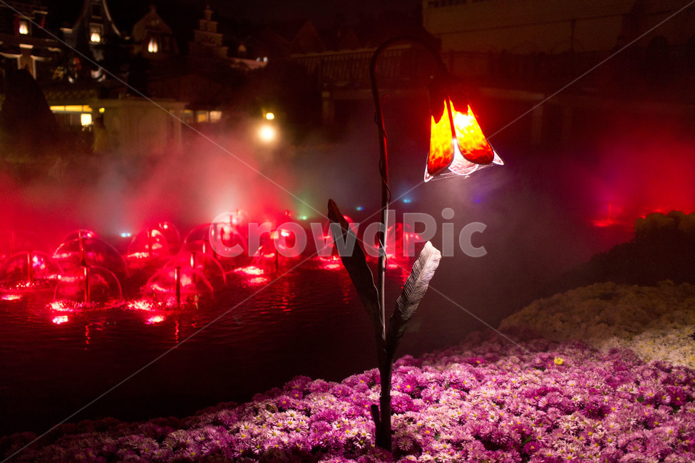 조명,꽃,조형물,전구,꽃동산,야경,밤,풍경,nightscape,night,landscape,조각상,동상,석상,조형물,statue,bronze statue,stone statue,flare,플레어,light,빛