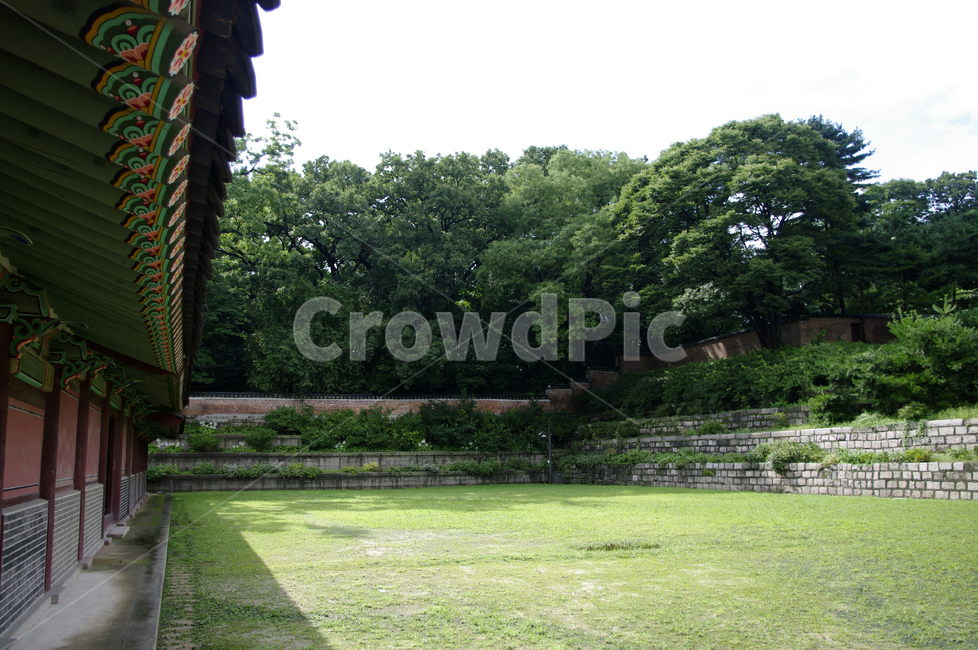 창덕궁,고궁,한옥,전통가옥,기와지붕,건축,traditional,한국전통,한국문화,korean traditional,korean culture,건축물,건물외관,exterior,building,structure,architecture,construction