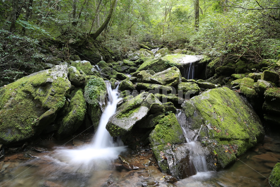 이끼계곡,장노출,풍경,자연,이끼,자연,풍경,nature,landscape,water,물,outdoors,옥외,river,강