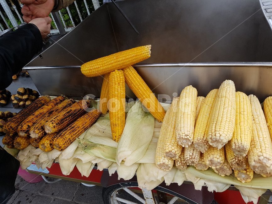 터키,이스탄불,옥수수,아트,군옥수수,corn,버터구이,구이,노란색