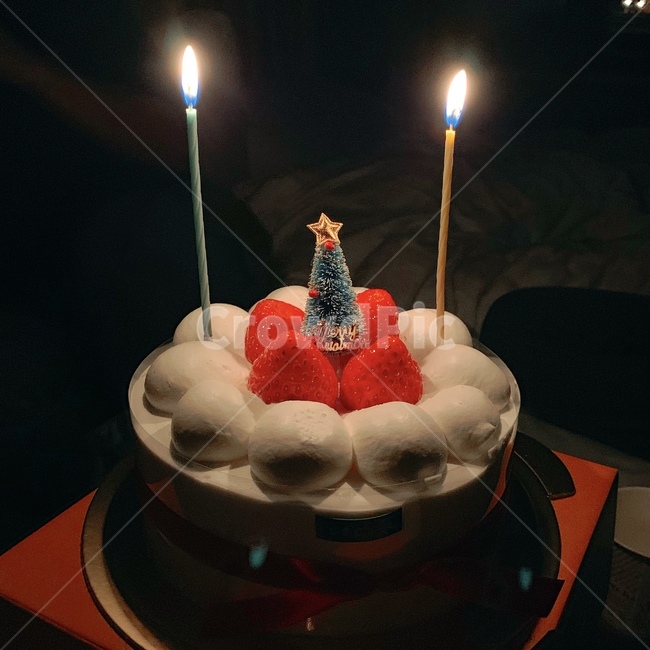 디저트,케이크,생일케이크,food,birthdaycake,dessert,크리스마스,파티,party