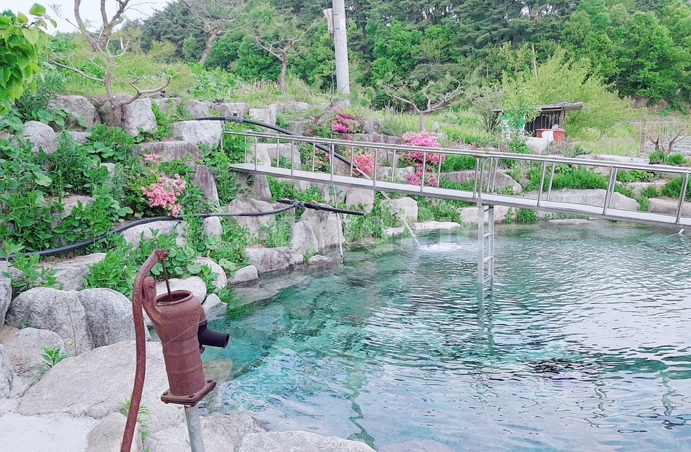 water,물,연못,꽃,flower,다리