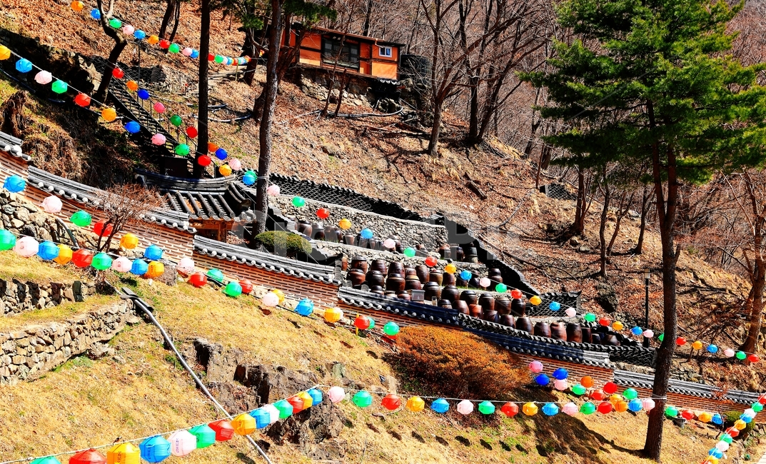 청량사,도립공원,청량산,절,산,청량산도립공원,한국전통,한국문화,korean traditional,korean culture,종교,신앙,religion,belief,faith,건축물,건물외관,exterior,building,structure,architecture,construction