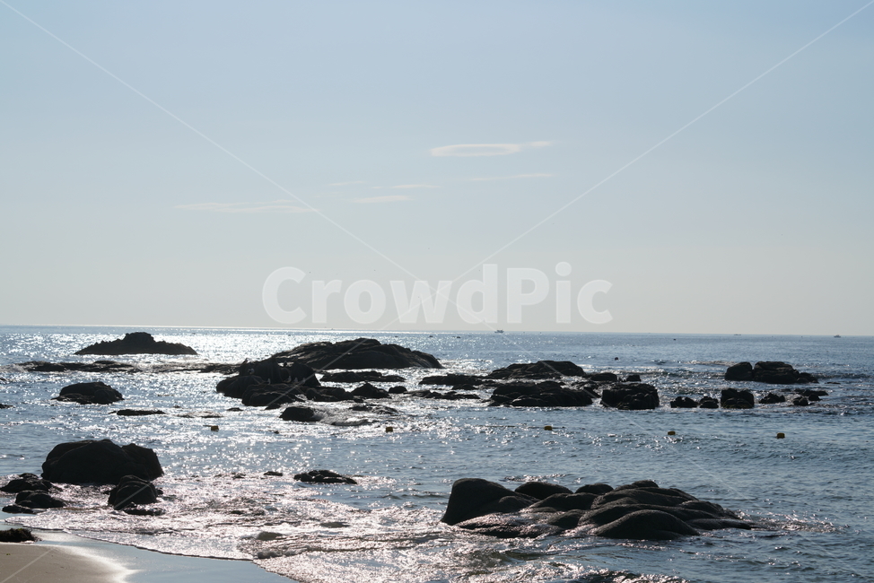 바다,바닷가,해변,바위,파도,경치,풍경,자연,물,sea,여름