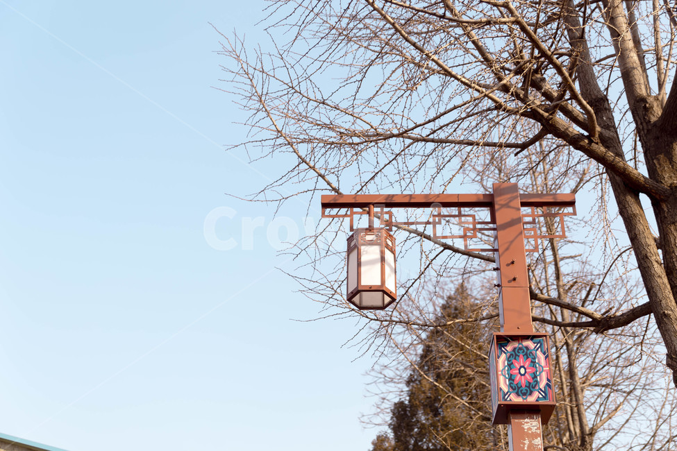 거리,steet,겨울,나무,가로등,한국전통,한국문화,korean traditional,korean culture,사물,물건,오브젝트,thing,object,matter