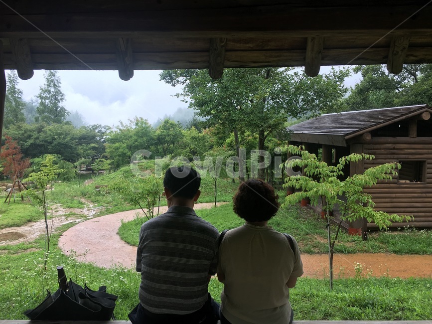 어버이날,감성,여행,비오는날,가족,배경,부모님,뒷모습,풍경,연인,커플,사랑,lover,couple,가족,패밀리,family