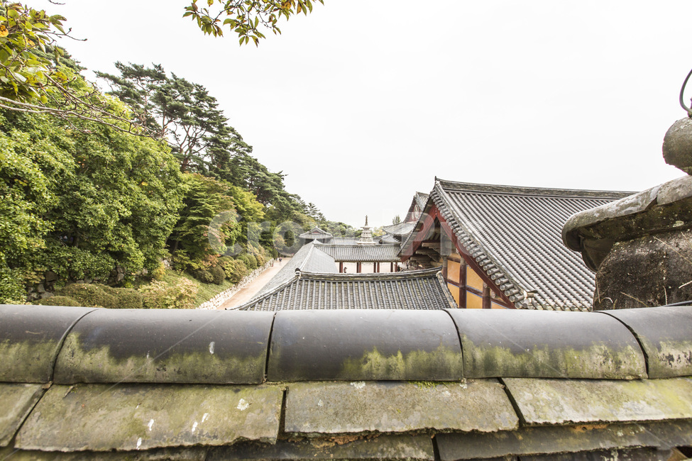 기와,담장,선,건축,사찰,문화유산,한국전통,한국문화,korean traditional,korean culture,종교,신앙,religion,belief,faith,건축물,건물외관,exterior,building,structure,architecture,construction