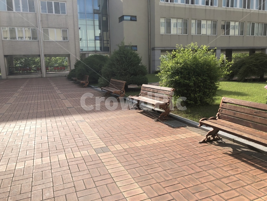 공원,산책,park,오후,여유,햇살,나른함,학교,교정