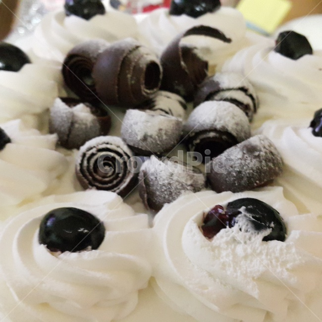 생크림,케이크,cake,초콜렛,디저트