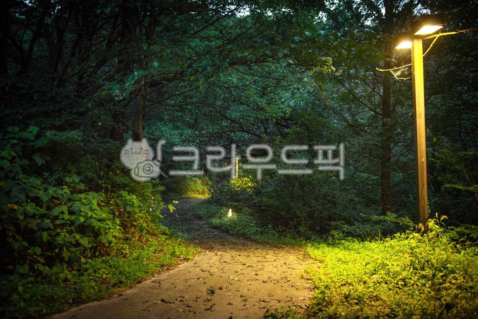sidewalk,night,tree,lamp,lighting,outdoor,street light,road,background,street,alley,evening,illuminate,boardwalk,walk