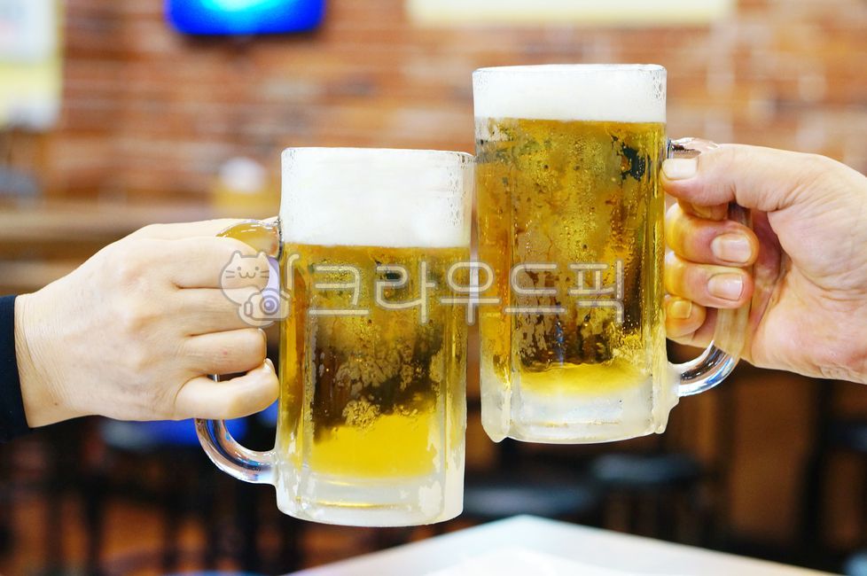 건배,친목,얼음맥주,생맥주,후라이드,술자리,glass,유리,beer,맥주,beverage,alcohol,술,cup,컵,beerglass,맥주잔