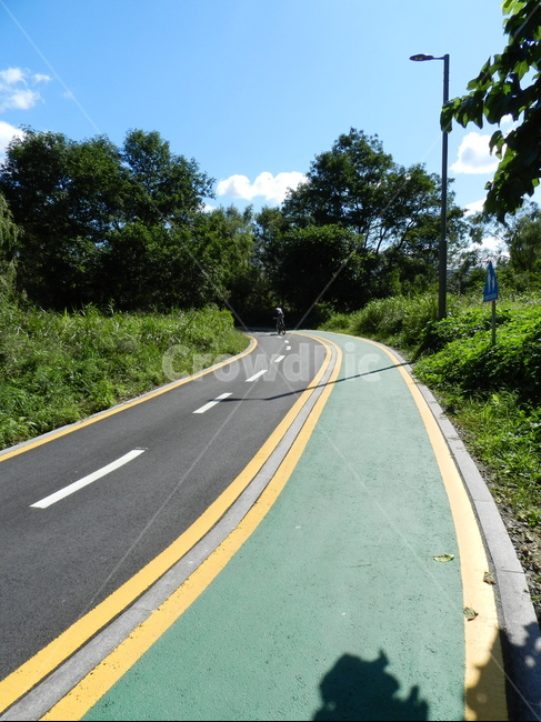 road,도로,탄천,가로등,산책,walk,자연,풍경,nature,landscape,freeway,고속 도로,highway,고속도로,asphalt,아스팔트