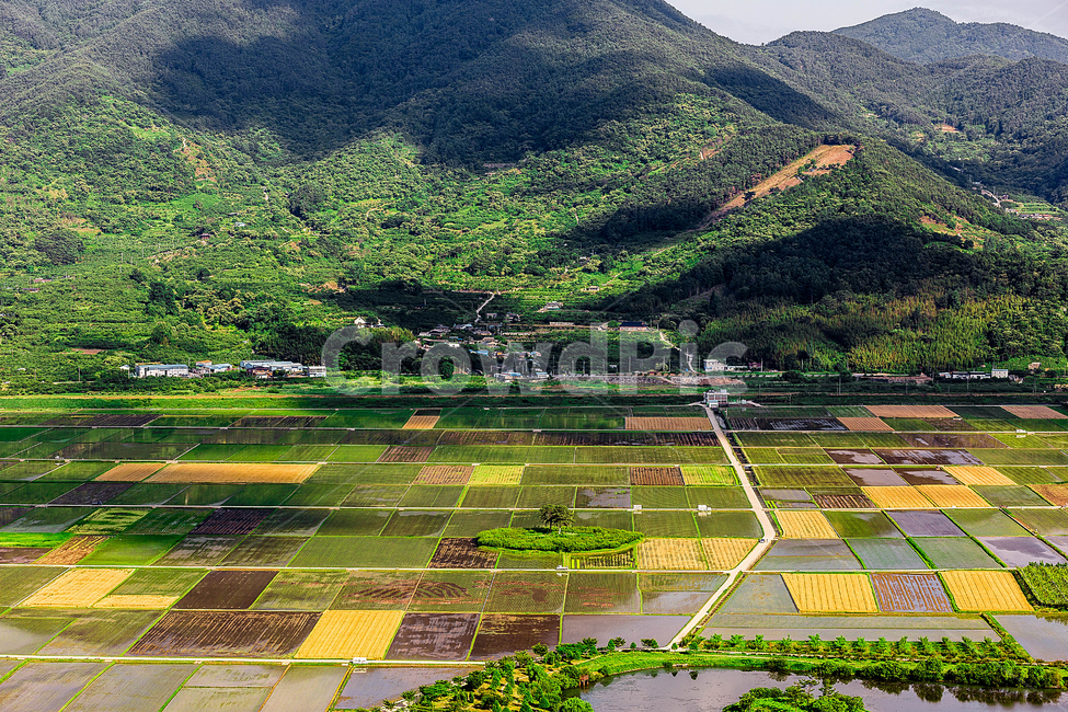 논,밭,부부송,시골,하동,자연,풍경,nature,landscape,한국자연풍경,한국자연경관,korea nature landscape,산업,industry,industrial,농업,농사,agriculture,farming,farming industry,scenery,outdoors,옥외,경치,field,들