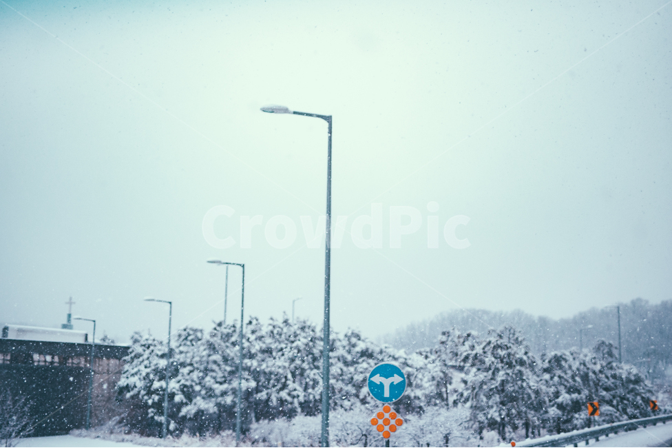 nature,자연,outdoors,옥외,storm,폭풍,snow,눈,winter,겨울,blizzard,눈보라,겨울,계절,winter,season