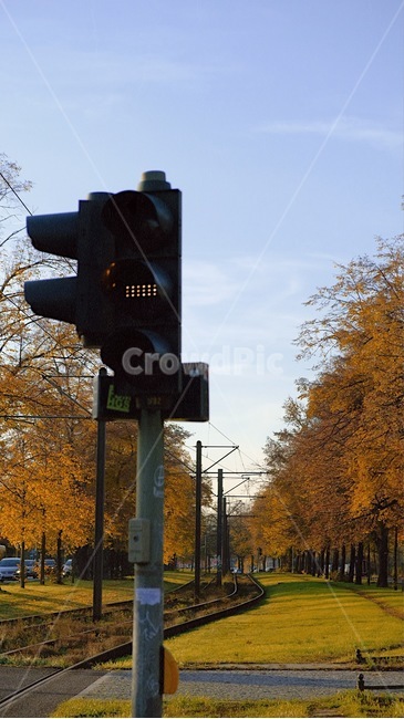 trafficlight,신호등,traffic,railway,train,기찻길,기차,교통,교통표시,가을,쓸쓸한,도시,베를린,유럽도시,유럽기찻길
