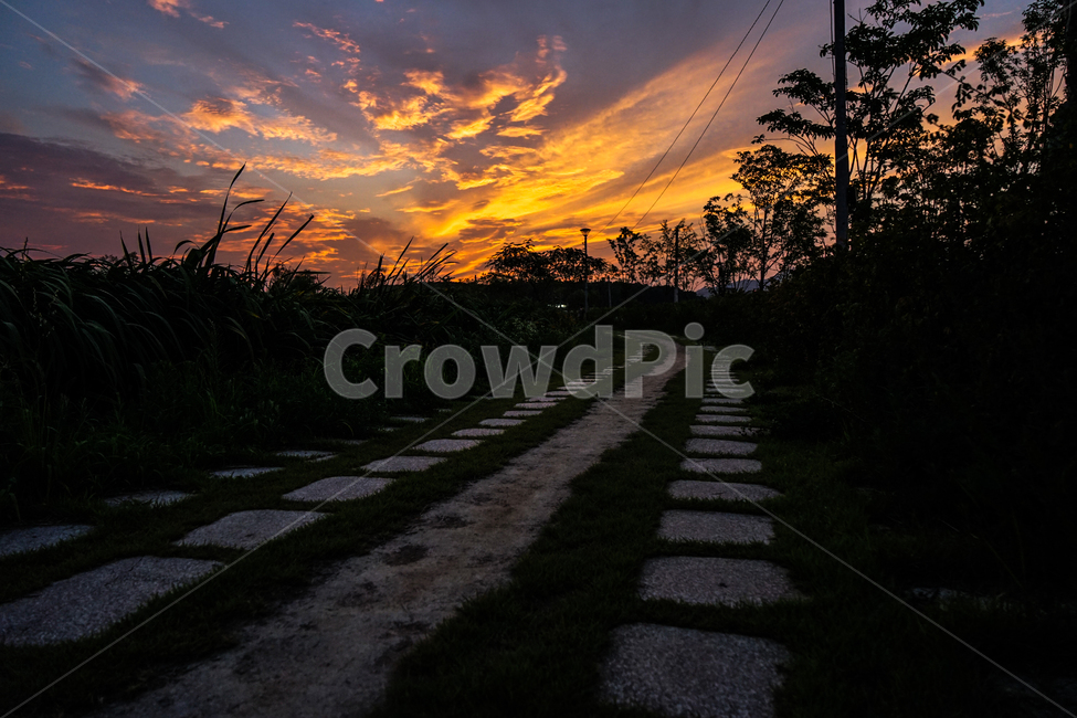 길,공원,노을,석양,해넘이,풍경,하늘,구름,나무,자연,풍경,nature,landscape,outdoors,옥외,sky,sunset,일몰,dusk,황혼,dawn,새벽,red sky,붉은 하늘