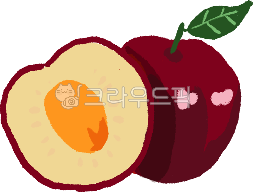 plum,fruit illustration,snack,fruit,cool,seasonal fruits,summer,food,summer seasonal fruit,sweet