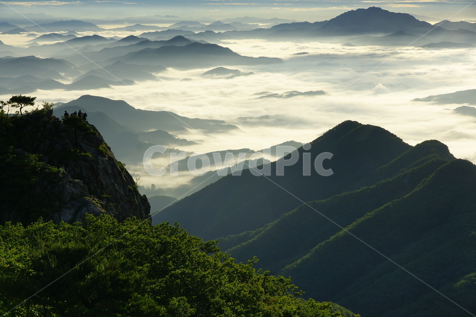 대둔산,운해,신록,구름,안개,소나무,완주군,자연,풍경,nature,landscape,한국자연풍경,한국자연경관,korea nature landscape,mountain,산,mountain range,산맥,outdoors,옥외