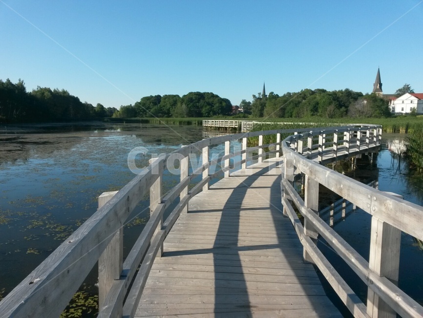 다리,나무,호수,길,산책,걷기,bridge,tree,lake,way,walking,walk,wood