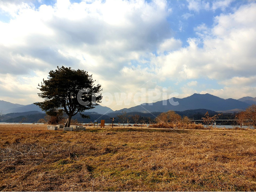 하늘,나무,겨울,sky,tree,winter,가을,계절,fall,autumn,season,자연,풍경,nature,landscape,outdoors,옥외,savanna,대초원,field,들,grassland,목초지