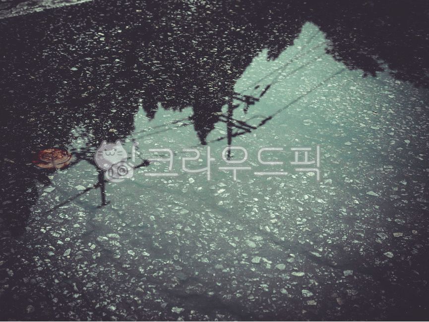puddle,shadow,After the rain,pool,next to the fall,rainwater,asphalt,reflect,Stagnant rainwater,fallen leaves,Standing water,ground,floor