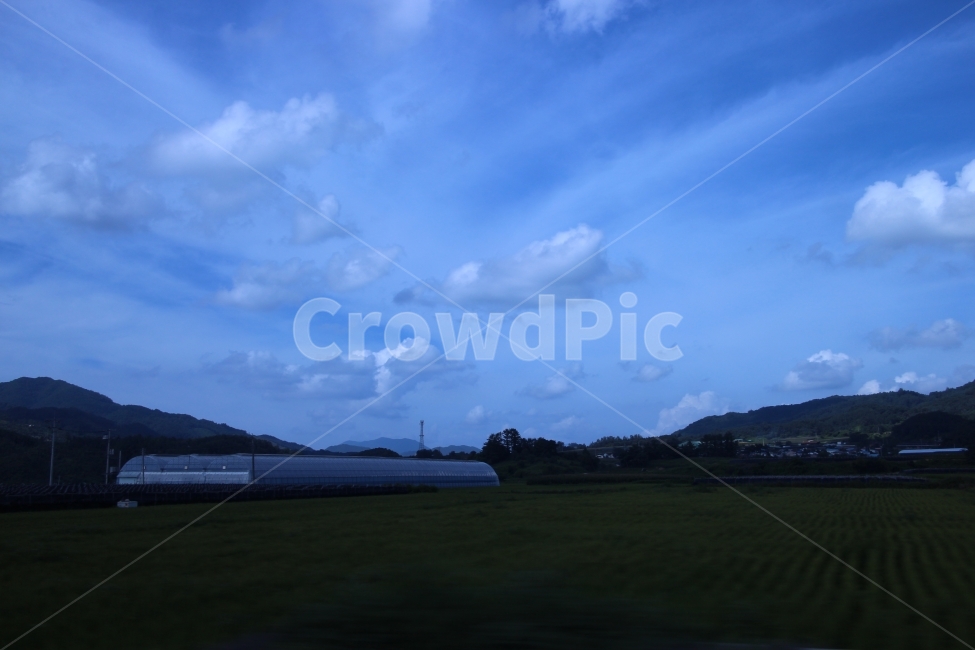가을,하늘,구름,시골,논,비닐하우스,정경,정겨운,풍경,할머니댁,자연,풍경,nature,landscape,한국자연풍경,한국자연경관,korea nature landscape,시골,마을,country,rural,town,grass,잔디,plant,식물,weather,날씨,outdoors,옥외,cumulus,적운,cloud,sky