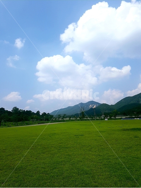 하늘,구름,풍경,잔디,휴식,힐링,자연,nature,식물