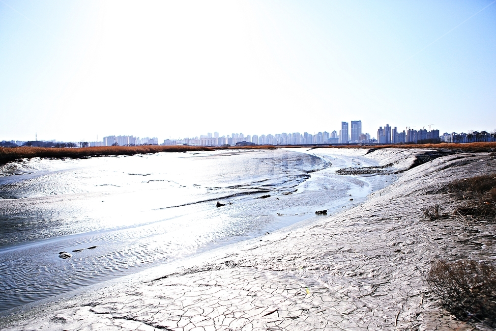 갯골,갯벌,생태공원,자연,풍경,배경,도시,풍경,city,landscape,한국도시풍경,한국도시경관,korea cityscape,dirt road,흙길,road,도로,gravel,자갈