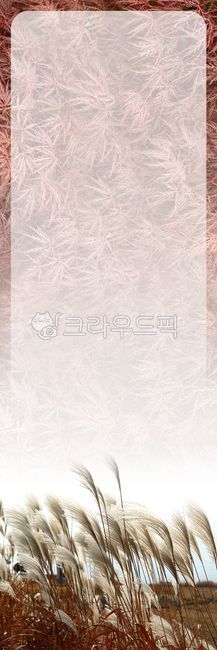 reed,banner printing,banner,flower garden,photorealistic printing,printing,flower,Design,banner design,petal,background,grass,plant,silver grass,vertical banner