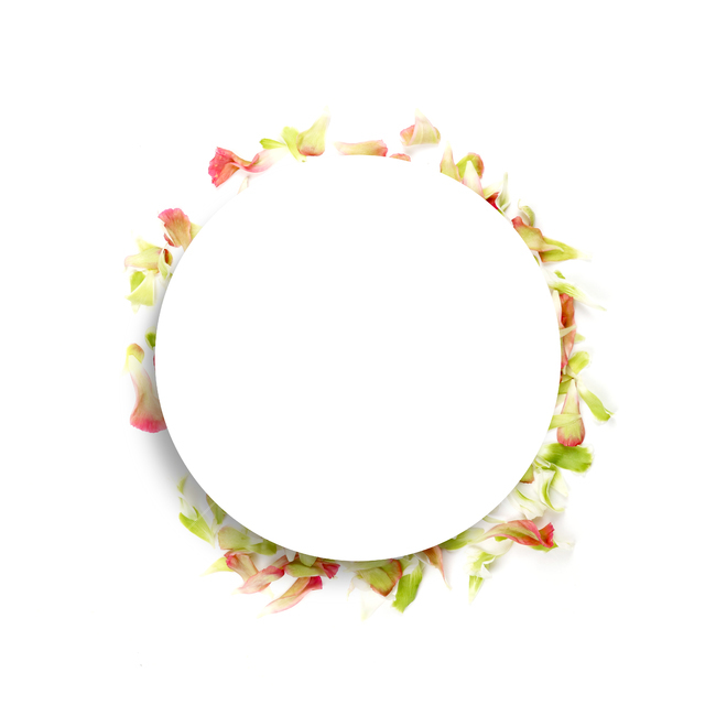 꽃,프레임,백그라운드,꽃잎,배경,배경이미지,봄,계절,내츄럴,보태니컬,보태니컬프레임,그래픽,일러스트레이션,graphic,illustration