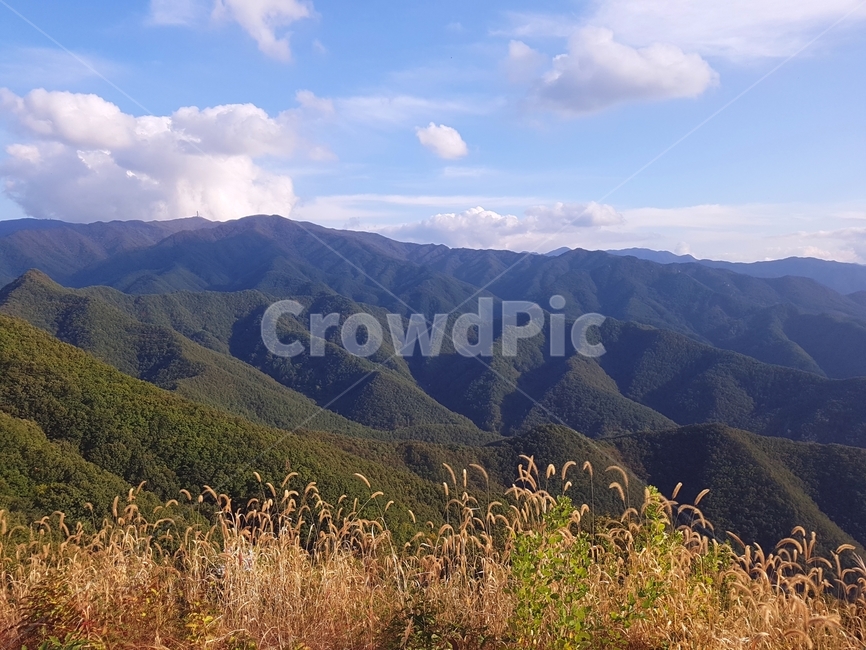 nature,자연,outdoors,옥외,mountainrange,산맥,mountain,산,푸르른하늘,강아지풀,가을,쌀쌀함,가을하늘,theskyinautumn,구름,cloud,thetopofthemountain,등산,hiking,청명,자연,풍경,nature,landscape
