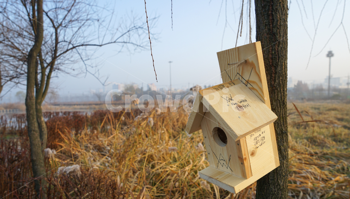 새집,공원,호수,나무,자연,조류보호,사물,물건,오브젝트,thing,object,matter