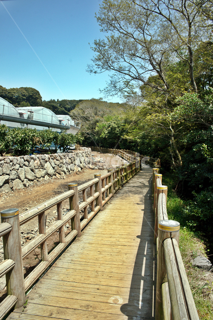 제주,서귀포,올레71코스,올레길,중산간,엉또폭포입구,목책,자연,풍경,nature,landscape,railing,난간