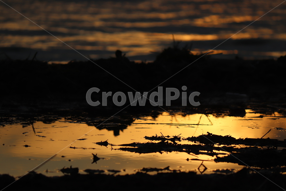 nature,자연,sunlight,햇빛,빛,light,황혼,새벽,일몰,sunset,하늘,금빛반영