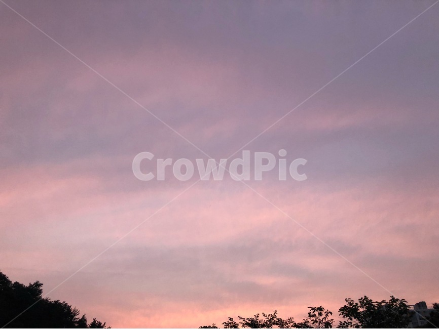 노을,해질녘,하늘,분홍빛하늘,풍경,자연,감성,감성사진,느낌,자연,풍경,nature,landscape,outdoors,옥외